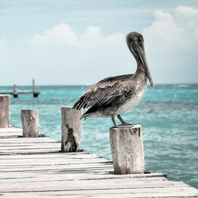 特别容易上手的手机版ddos攻击器