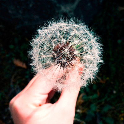 有稳定货源吗的免费DDOS攻击测试工具