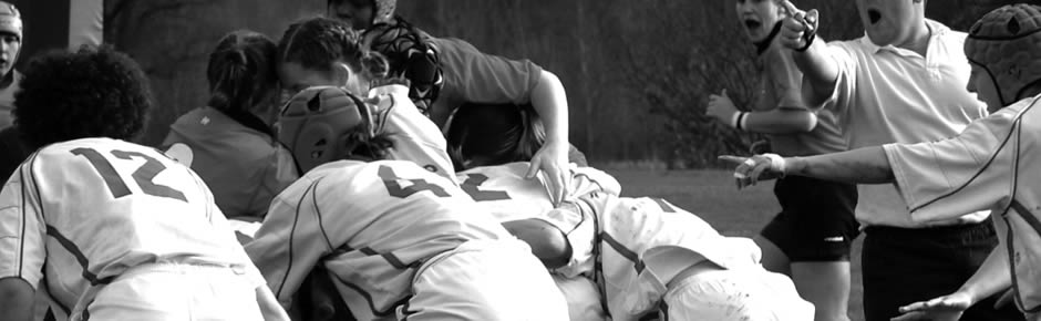 cc攻击免费网页版